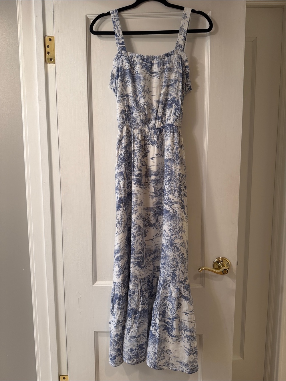 Lucy Paris Blue and White Toile Maxi Dress